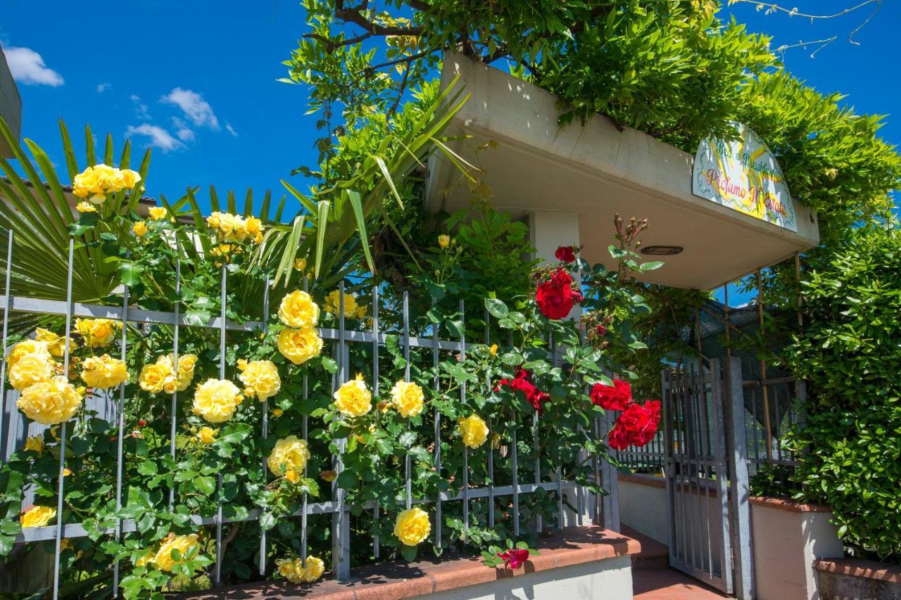 Bed & Breakfast Profumo D'Estate Agliana Exterior photo